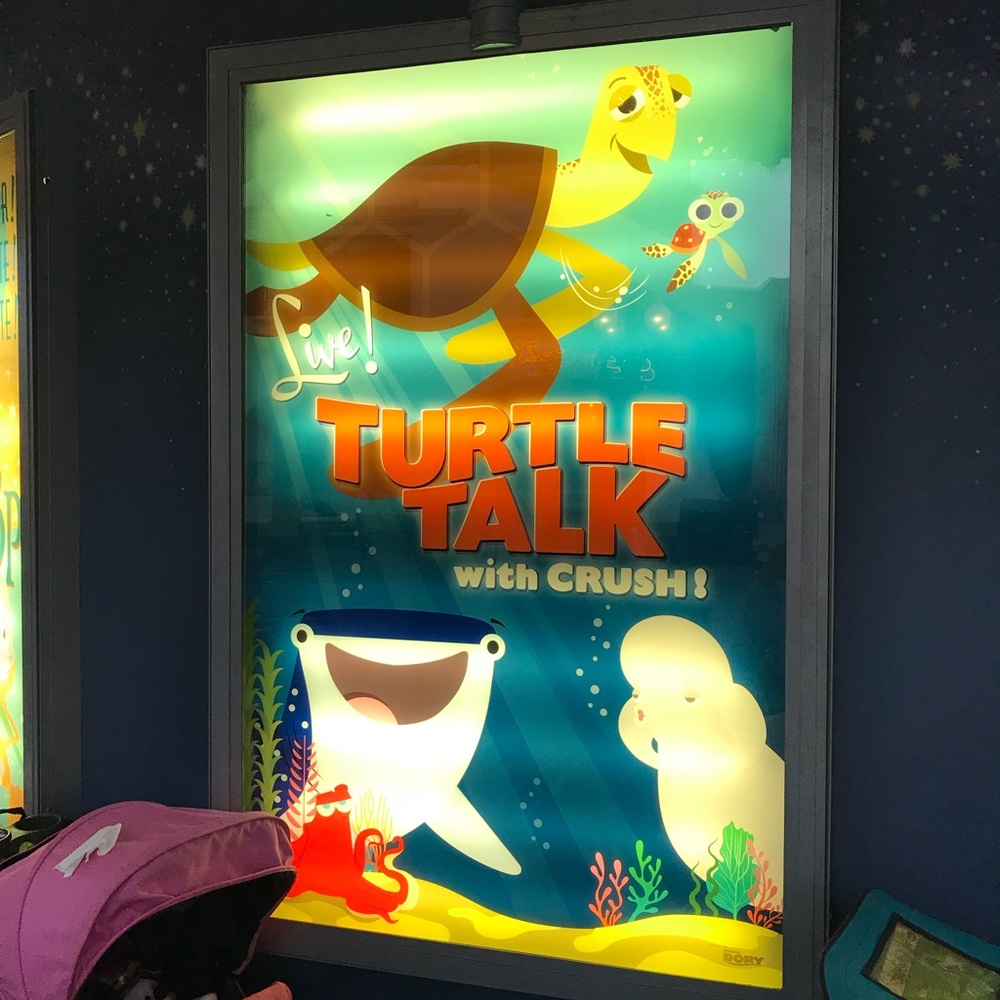 Meet your Posher, Joe